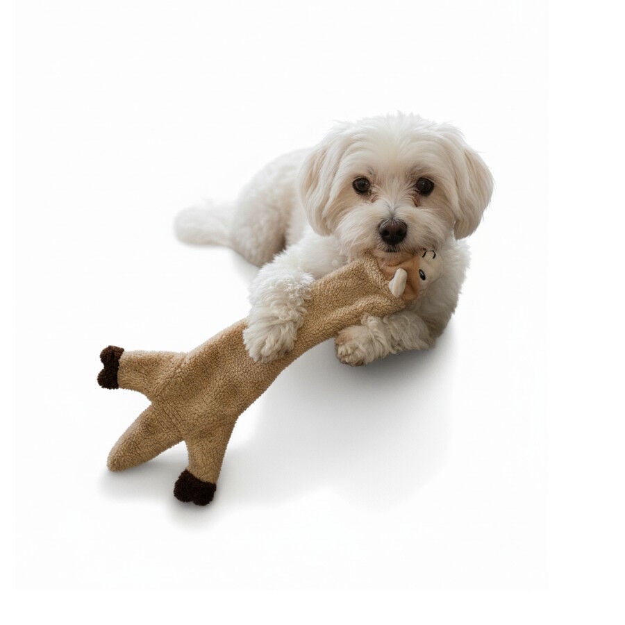 LOVE THE EARTH Peluche llama con sonido para perros, , large Imagen numero 6