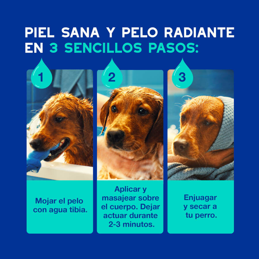 Ceva Douxo Spa Champ&uacute; Antiolor para perros, , large indicador imagen numero 5
