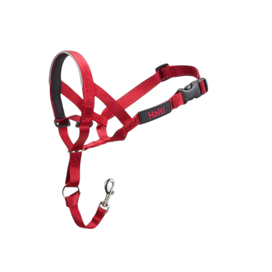 Halti collar antitirones con bozal rojo para perros, , large indicador imagen numero 1