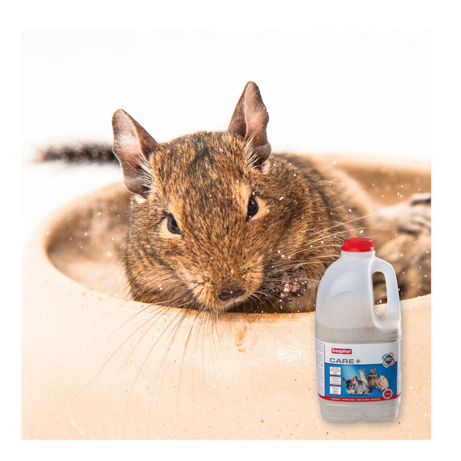 Beaphar Care+ Arena de Ba&ntilde;o para chinchillas, , large indicador imagen numero 5