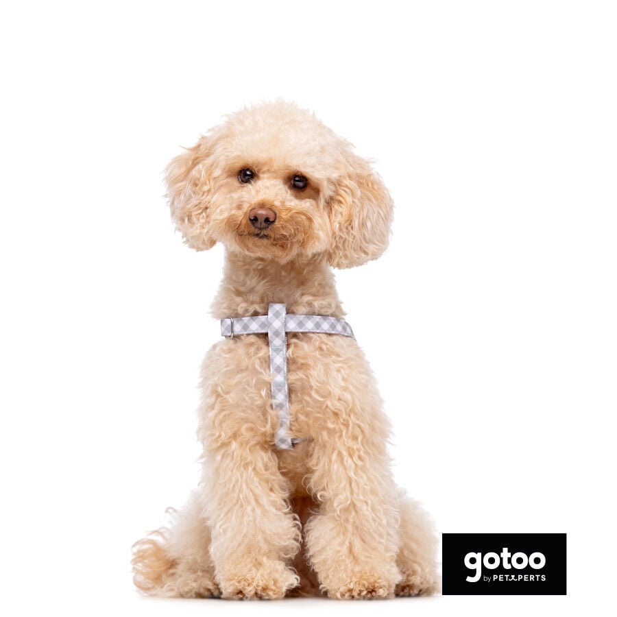 Gotoo Arn&eacute;s estampado cuadro vichy gris para perros, , large indicador imagen numero 3