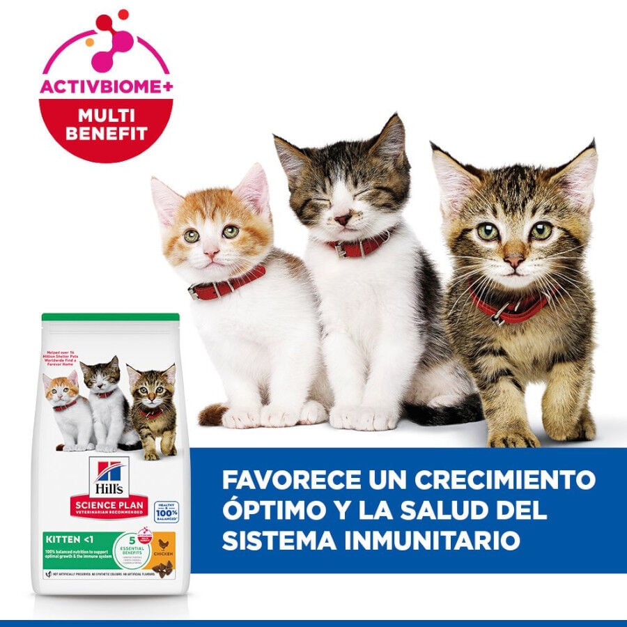 7 kg Hill's Science Plan Kitten Pollo pienso para gatos, , large indicador imagen numero 3