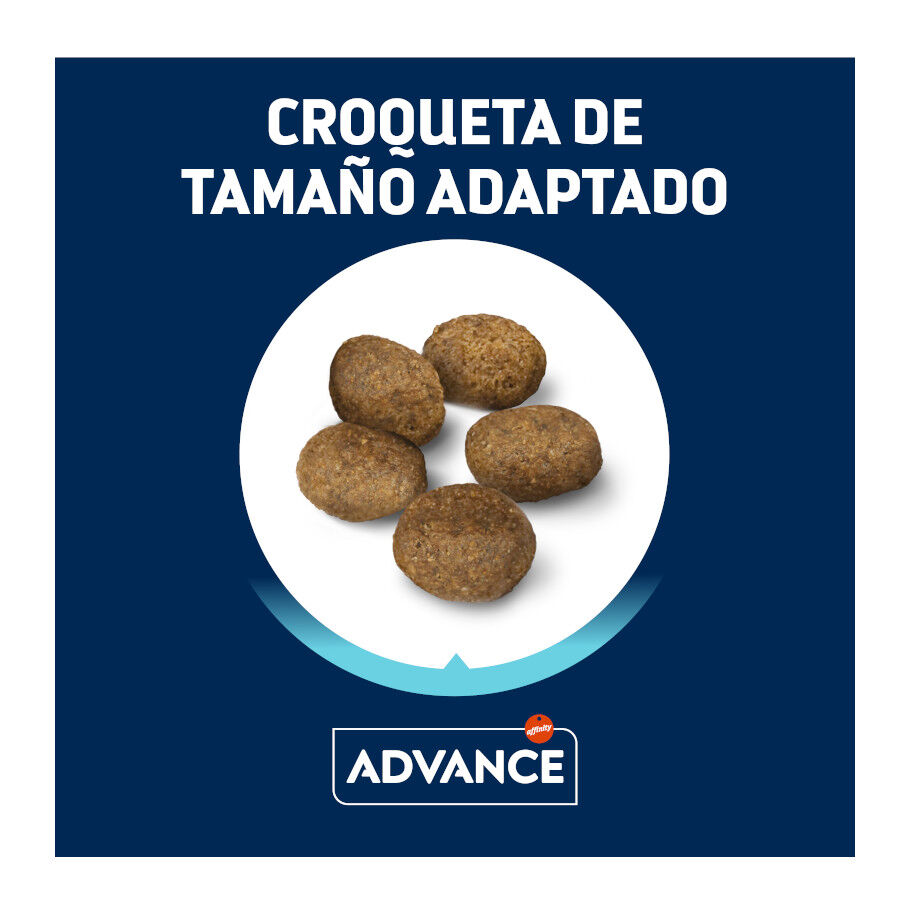 8 kg (7 + 1 kg &iexcl;gratis!) Advance Active Defense Mini Sensitive Salm&oacute;n y Arroz pienso para perros, , large Imagen numero 2