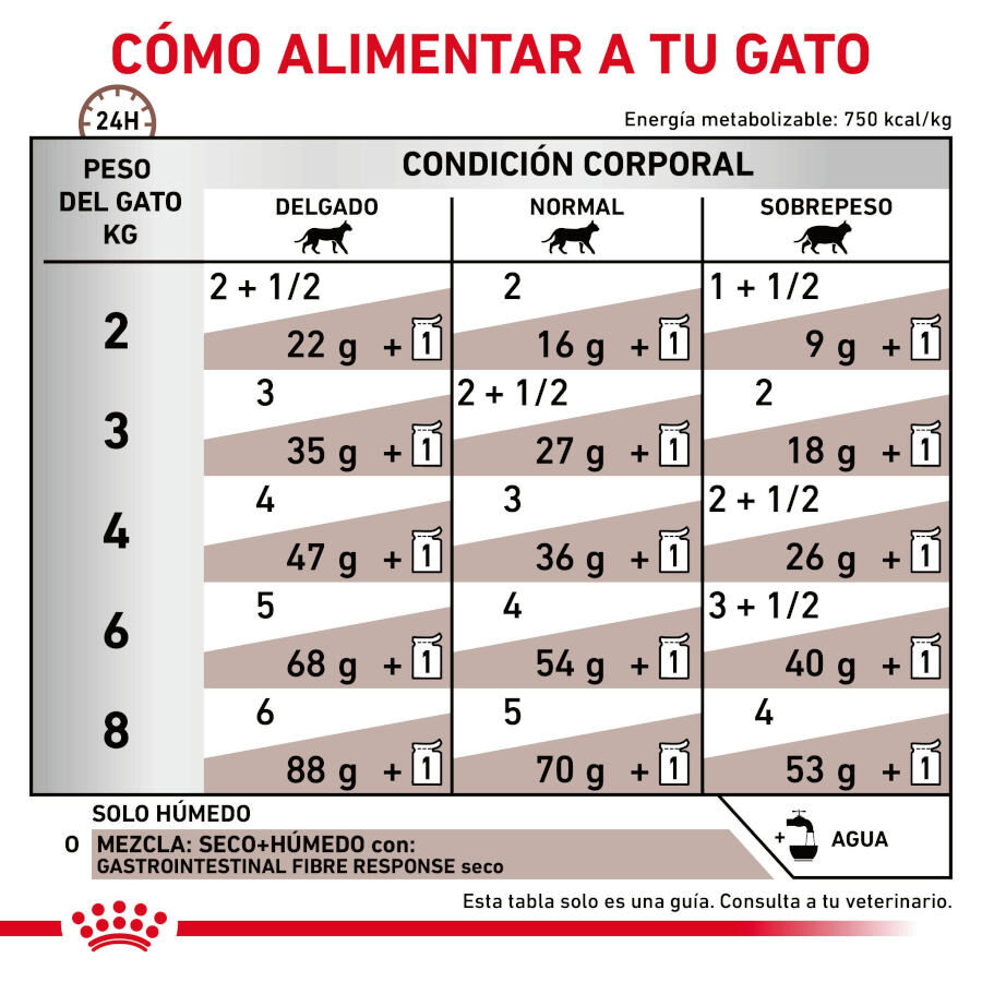 12 sobres x 85 g Royal Canin Gastrointestinal Fibre Response L&aacute;minas en Salsa Sobre para gatos, , large indicador imagen numero 6