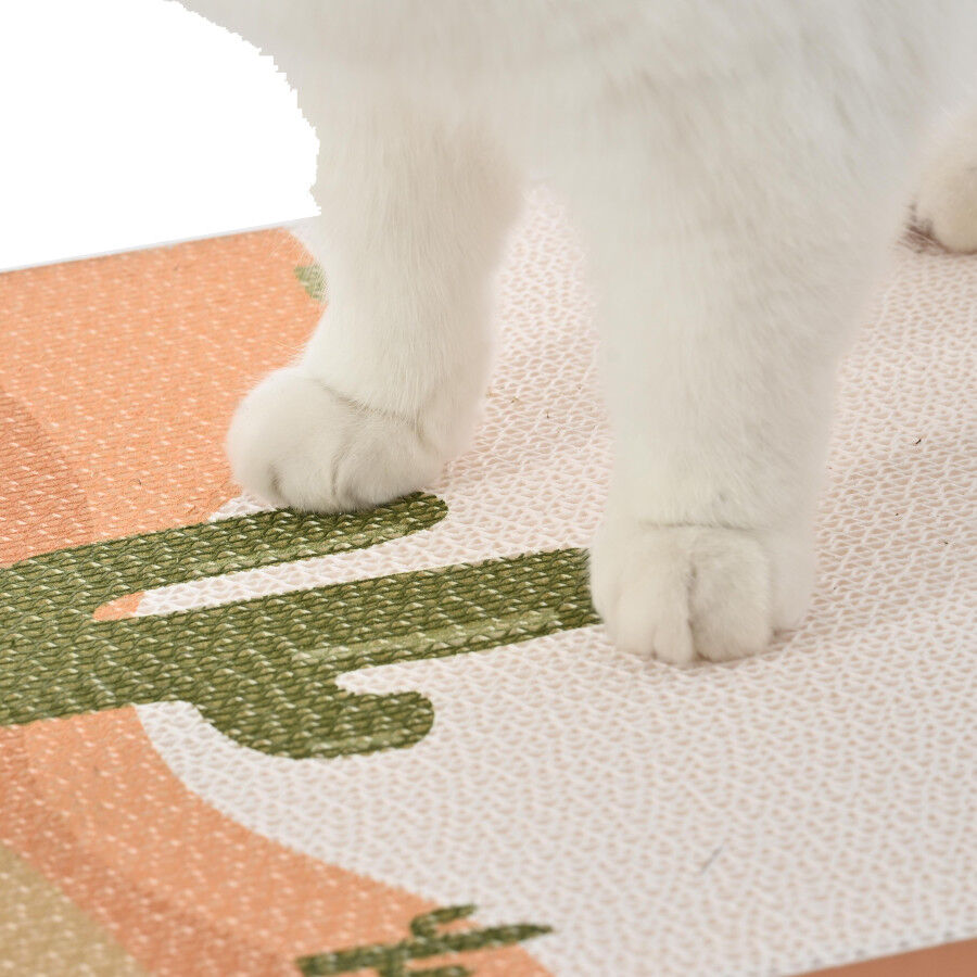 Leeby Darcy tabla rascador de cart&oacute;n para gatos, , large Imagen numero 7