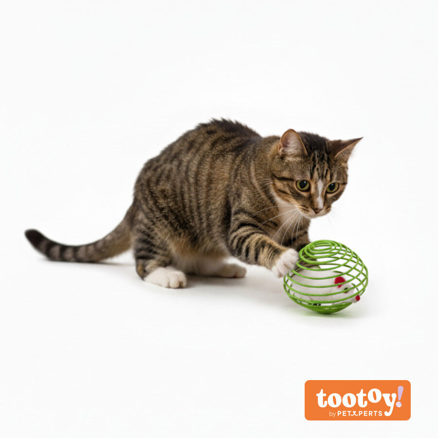 Tootoy! Pelota Interactiva con Rat&oacute;n para gatos, , large indicador imagen numero 11