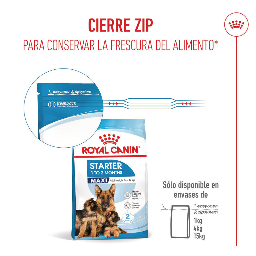 15 kg Royal Canin Starter MotheryBaby Maxi pienso para perros, , large indicador imagen numero 9