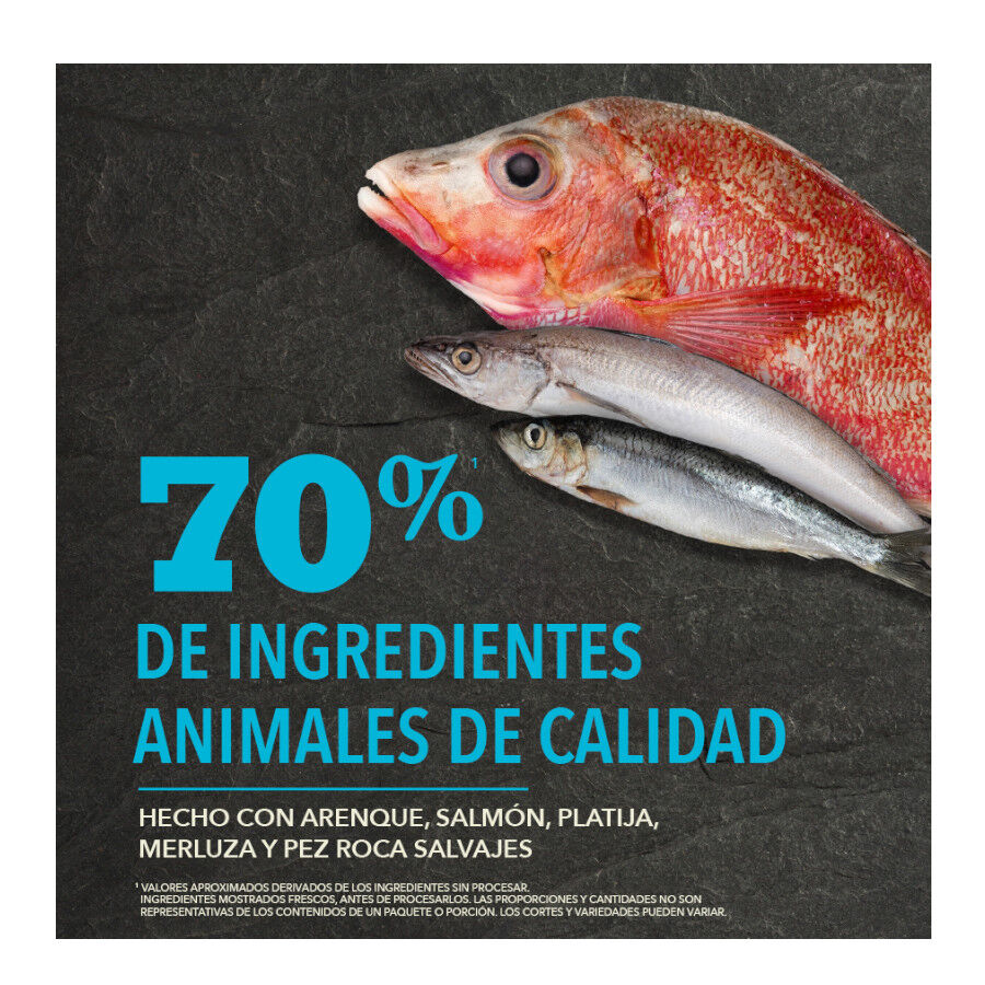 11.4 kg Acana Pac&iacute;fica pienso para perros, , large Imagen numero 7