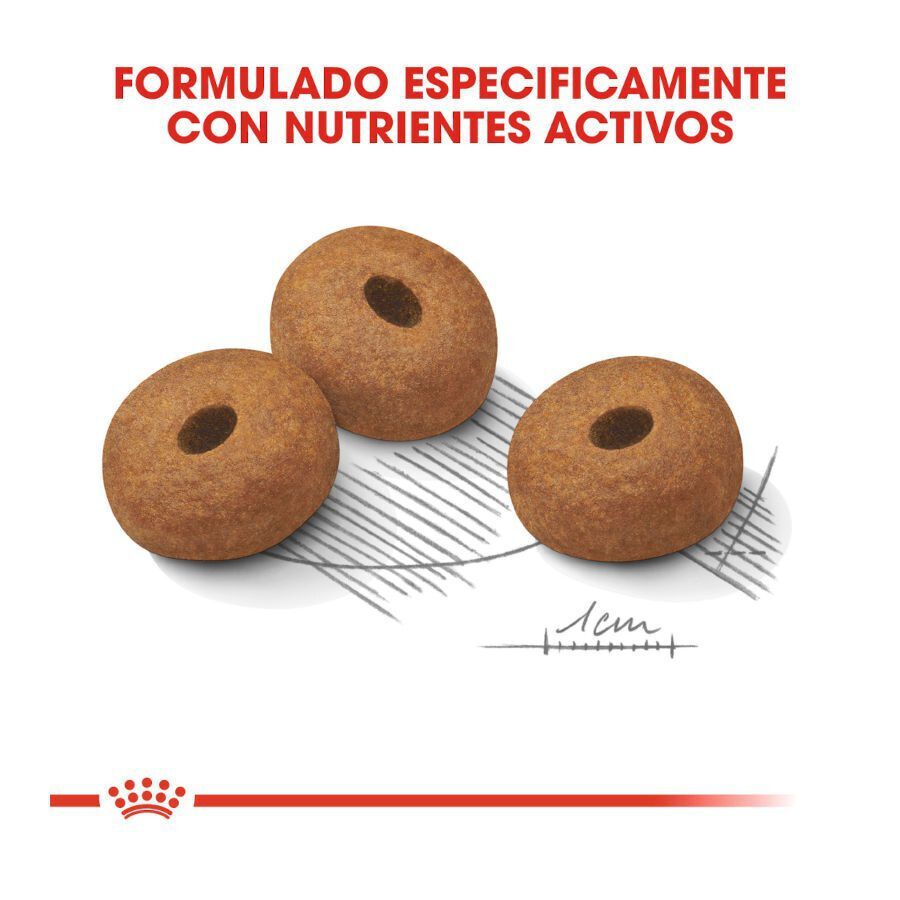 3 kg Royal Canin Light Weight Care Maxi pienso para perros, , large indicador imagen numero 4