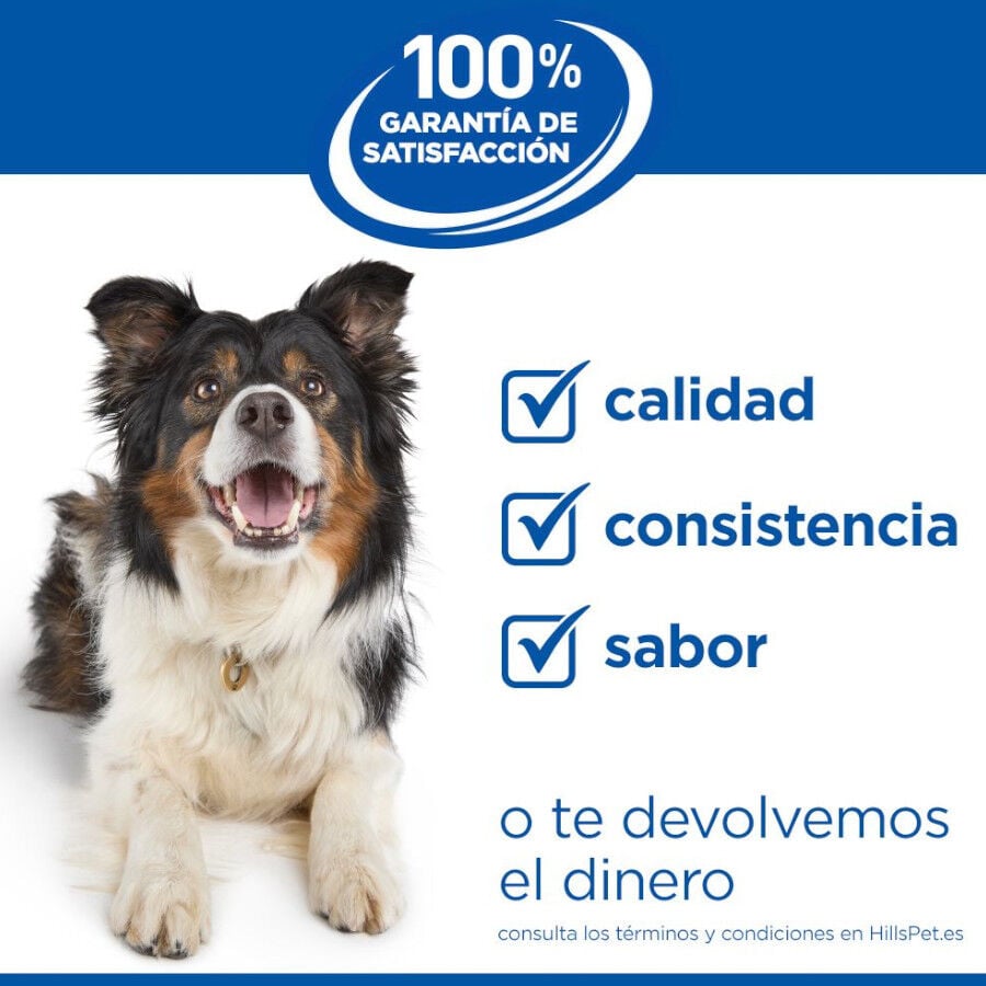 1.5 kg Hill's Science Plan Sensitive Stomach y Skin Small y Mini Pollo pienso para perros, , large Imagen numero 9