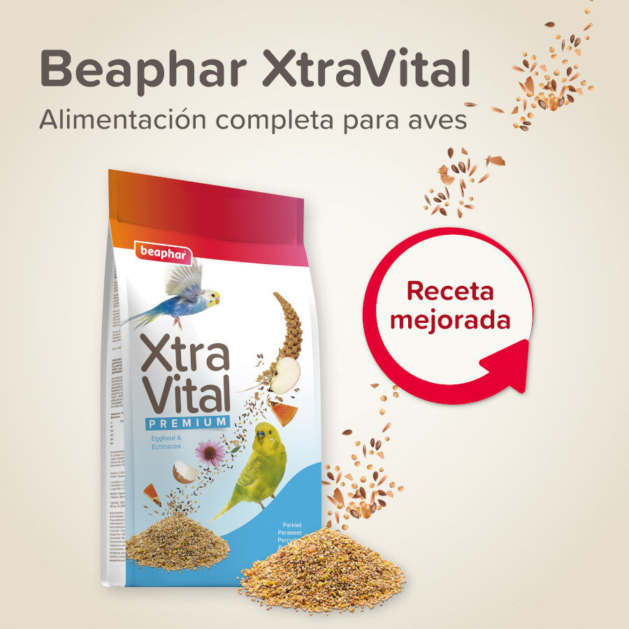 Beaphar XtraVital Premium Mixtura de Semillas para periquitos, , large indicador imagen numero 2