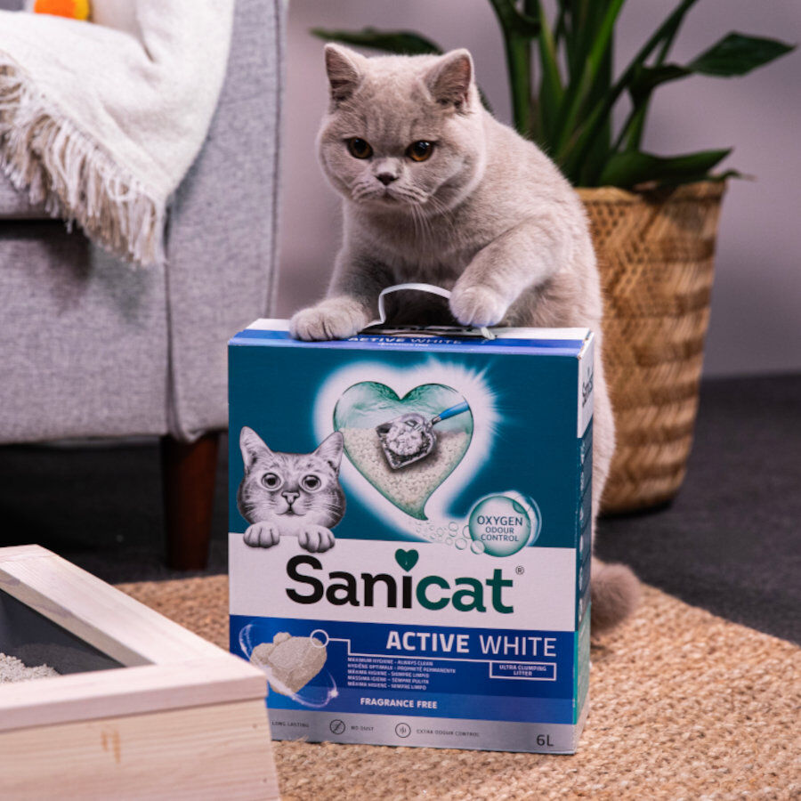 20 L Sanicat Clumping White Arena Blanca Aglomerante sin perfume para gatos, , large indicador imagen numero 4