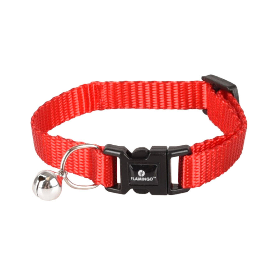 Flamingo Collar Ziggi Rojo para gatitos