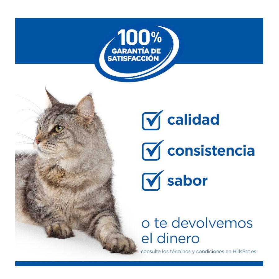 85 g Hill's Science Plan Adult Pollo sobre para gatos, , large indicador imagen numero 8