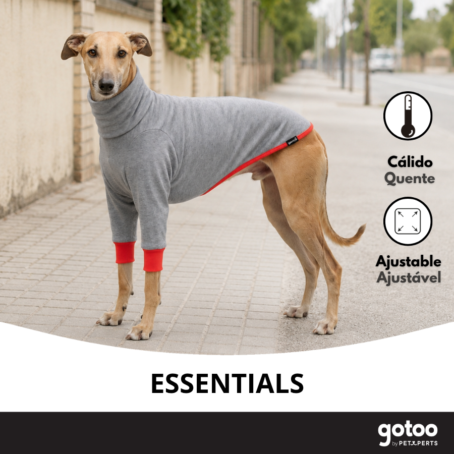 Gotoo Sudadera Gris para galgos, , large indicador imagen numero 6