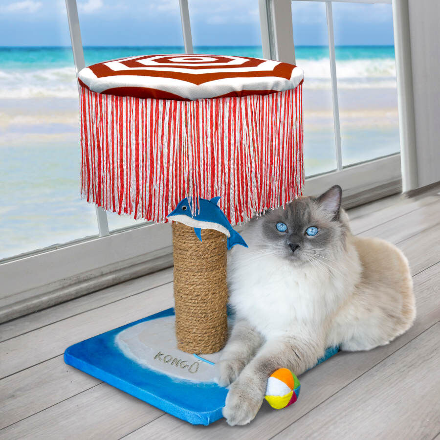 Kong PlaySpaces Catbana juguete para gatos, , large indicador imagen numero 2