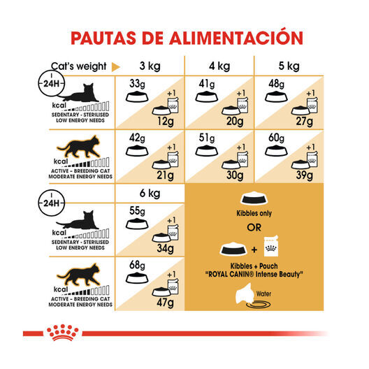10 kg Royal Canin Adult Siamese pienso para gatos, , large indicador imagen numero 8