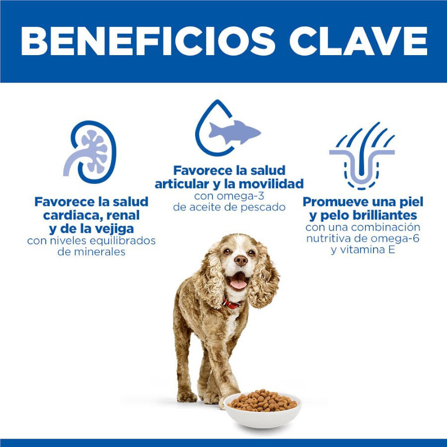 1.5 kg Hill's Science Plan Senior 11+ Small y Mini pollo pienso para perros, , large indicador imagen numero 5