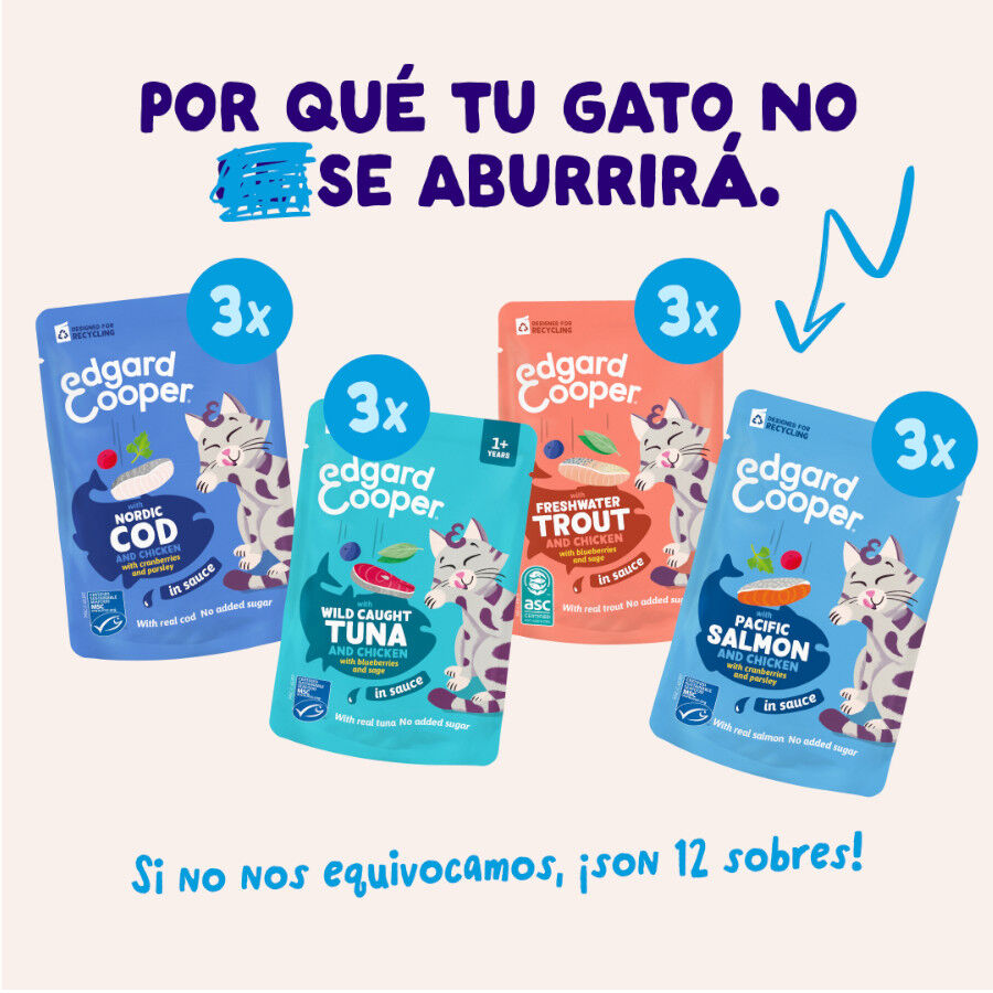 12 x 85 g Edgard & Cooper Selecci&oacute;n Captura del D&iacute;a sobre en salsa para gatos, , large Imagen numero 2