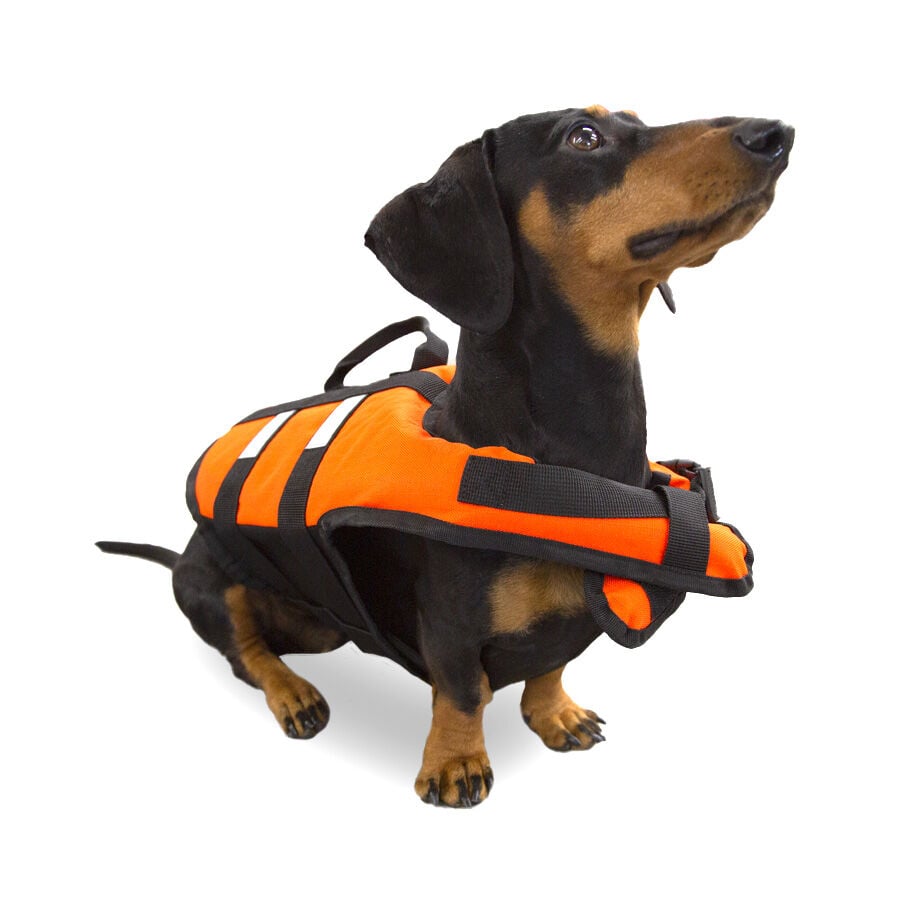 TK-Pet Chaleco Salvavidas Naranja para perros, , large indicador imagen numero 1