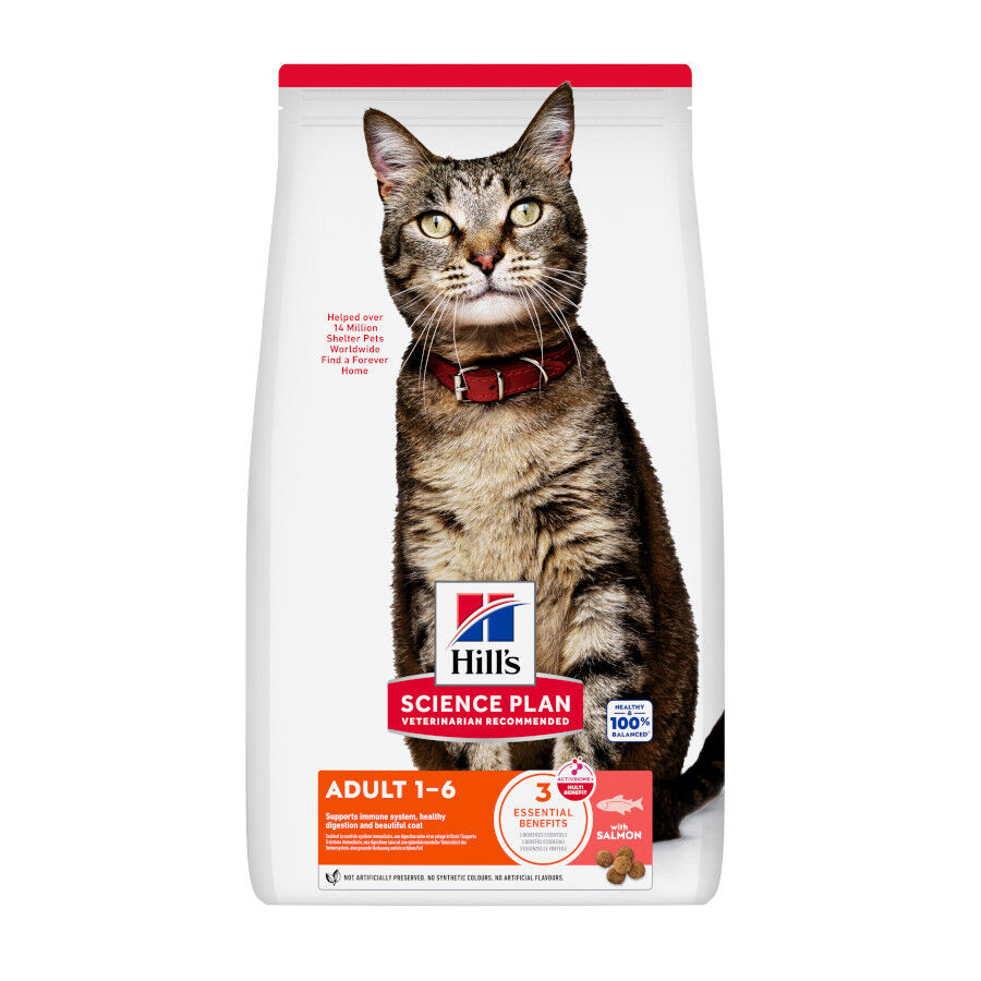 10 kg Hill's Science Plan Adult Pienso Salm&oacute;n para gatos, , large Imagen numero 1