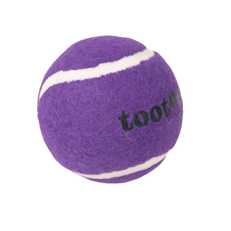 Tootoy! Chase Squeaker Ball Morada pelota de tenis para perros, , large Imagen numero 2