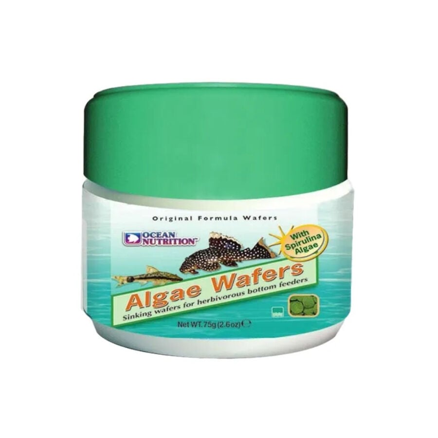 Ocean Nutrition Algae Wafers para peces de boca succionadora, , large Imagen numero 1