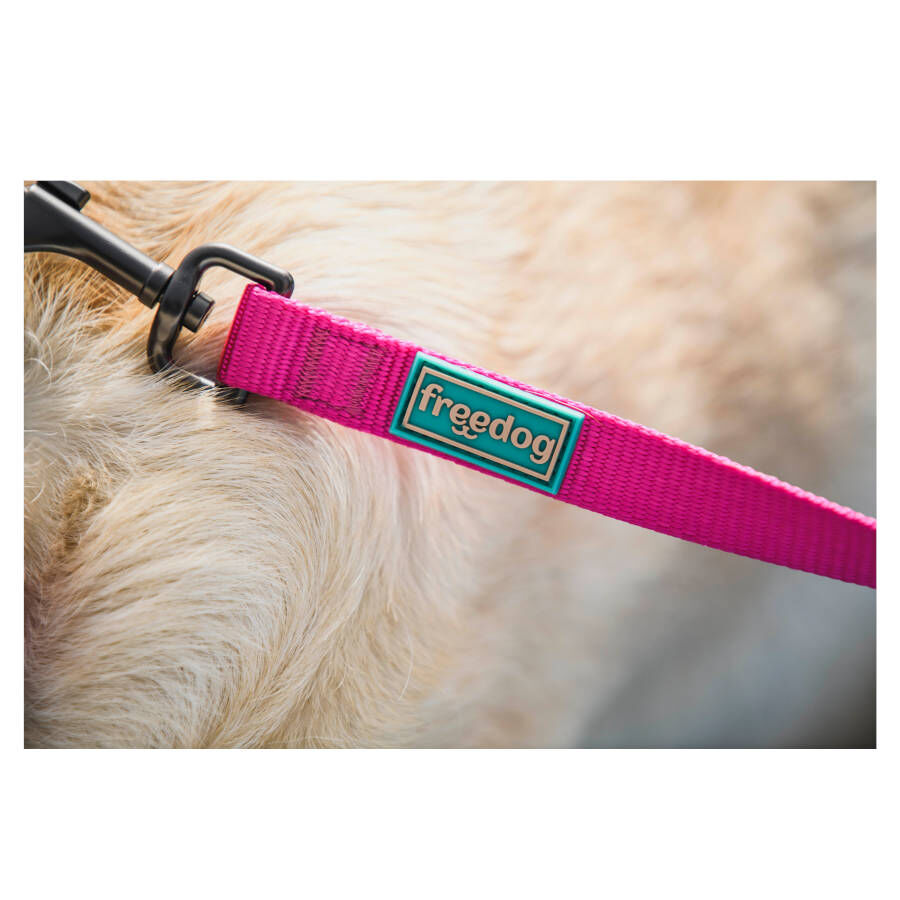 Freedog Cool Pro Tech Correa Refrescante Fucsia para perros, , large indicador imagen numero 2