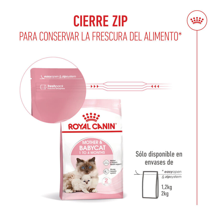 4 kg Royal Canin Mother & Babycat pienso para gatos, , large indicador imagen numero 11