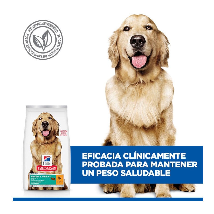 12 kg Hill's Science Plan Perfect Weight Adult Large Pollo pienso para perros, , large indicador imagen numero 6