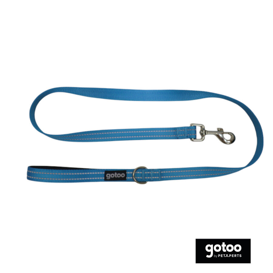 Gotoo Correa de nylon reflectante azul para perros, , large indicador imagen numero 2