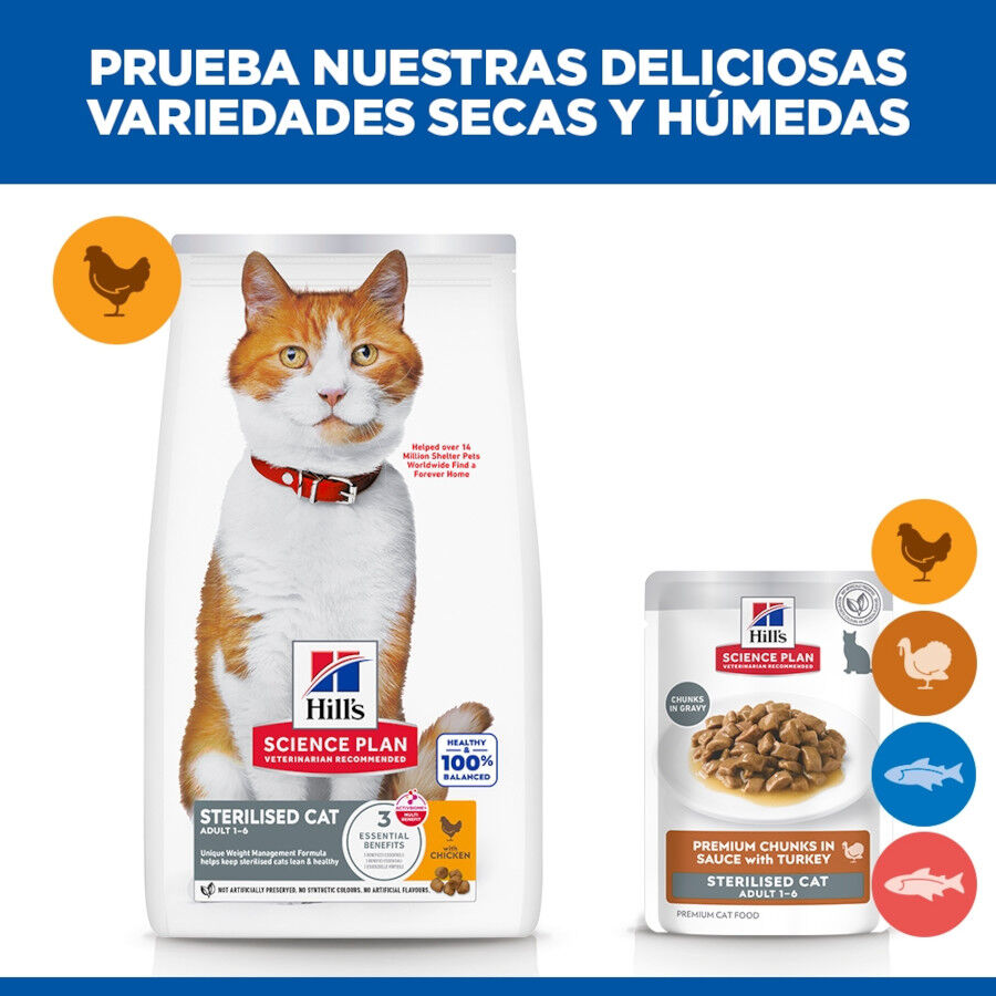 85 g Hill's Science Plan Sterilised Young Adult Pavo Sobre en Salsa para gatos, , large indicador imagen numero 6