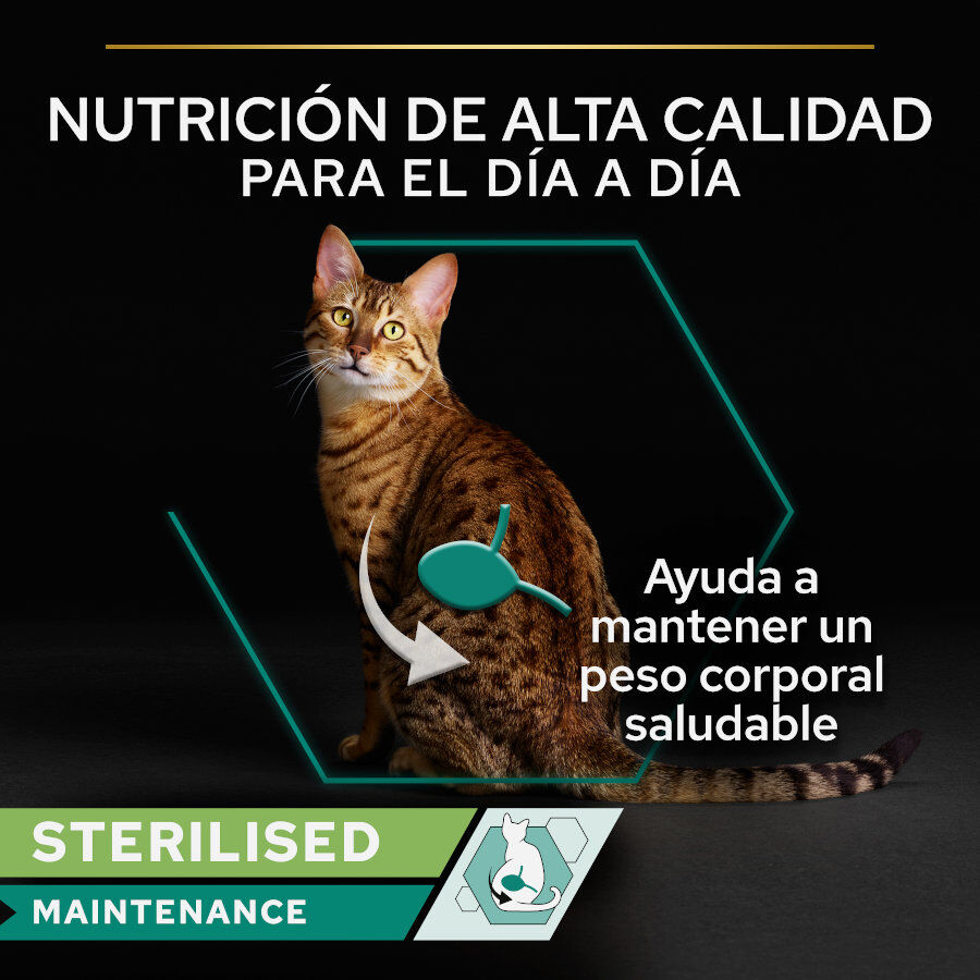 12 latas x 85 g Pro Plan Adult Sterilised Maintenance Salm&oacute;n y At&uacute;n lata para gatos, , large Imagen numero 3