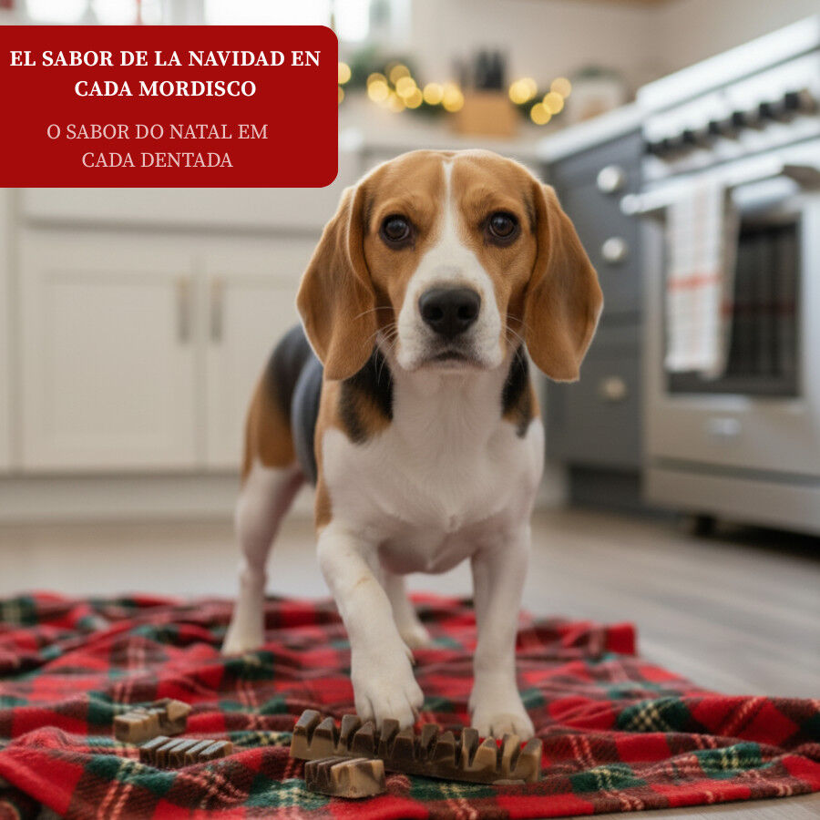 1 barrita Wonder Christmas Doglerone Snack Navide&ntilde;o para perros, , large indicador imagen numero 4