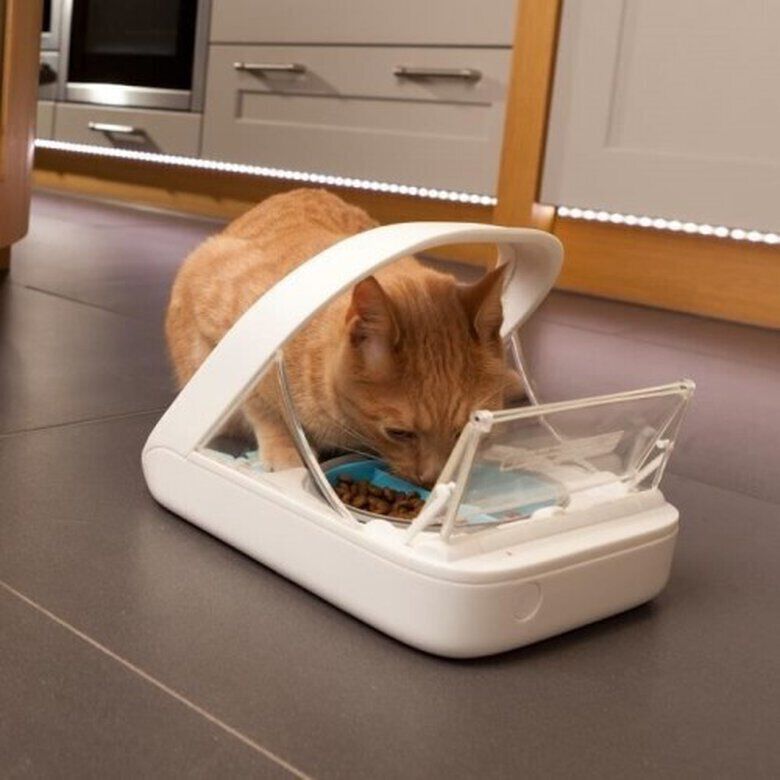Sure Petcare Surefeed Comedero Autom&aacute;tico con Microchip, , large Imagen numero 3