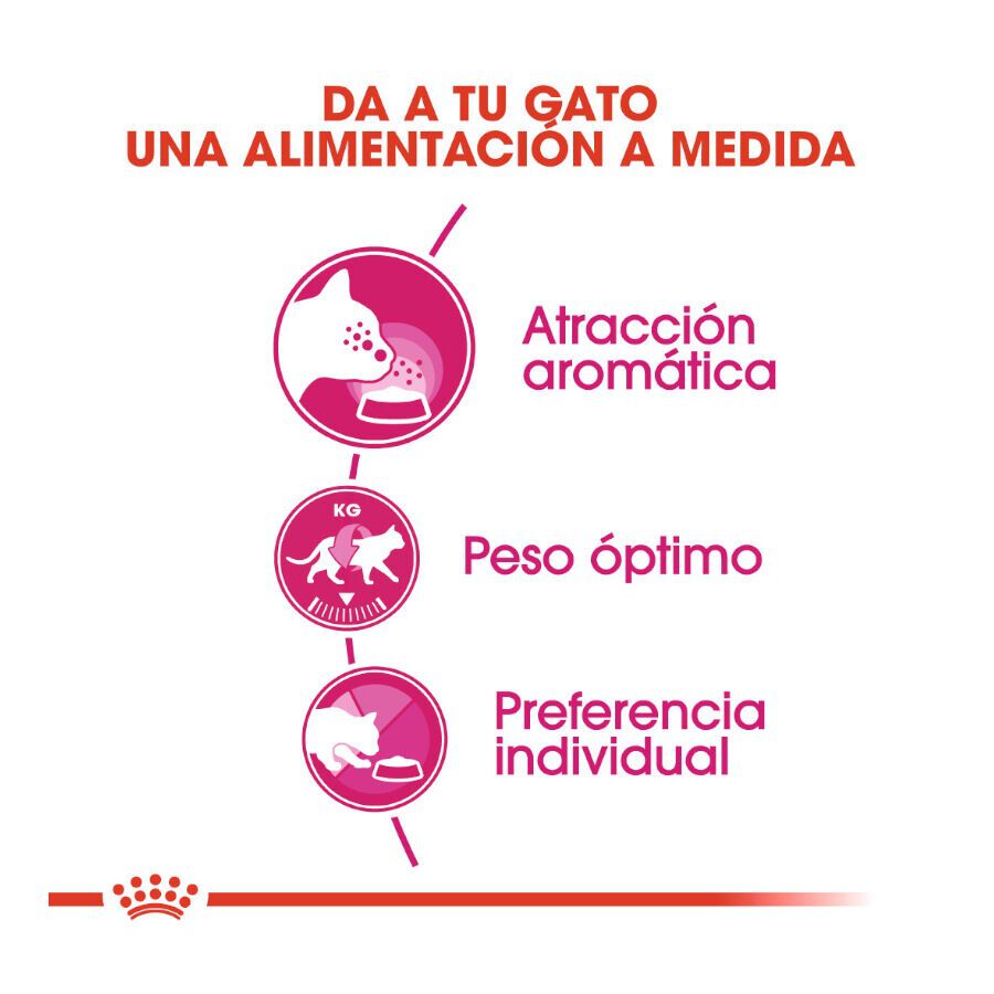 0.4 kg Royal Canin Adult Exigent Aroma pienso para gatos, , large indicador imagen numero 4