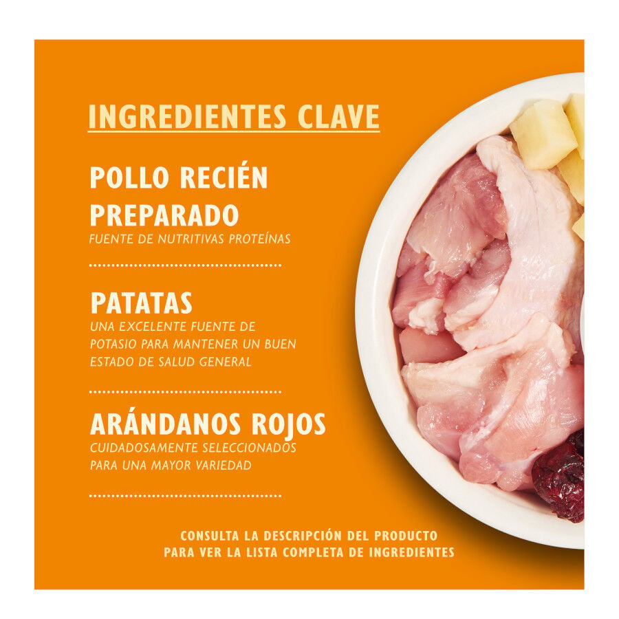 4 kg Lily's Kitchen Grain Free Pollo pienso para gatos, , large indicador imagen numero 2
