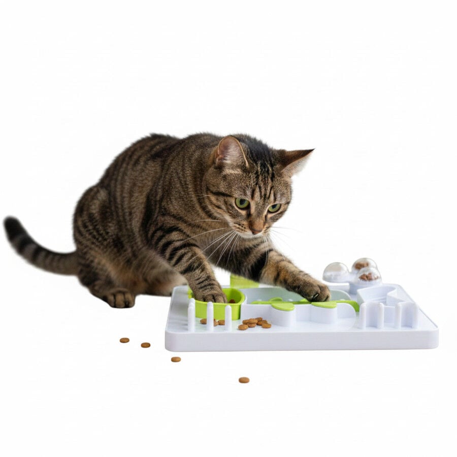 All For Paws Interactives Juguete Puzzle Pescado para gatos, , large Imagen numero 4