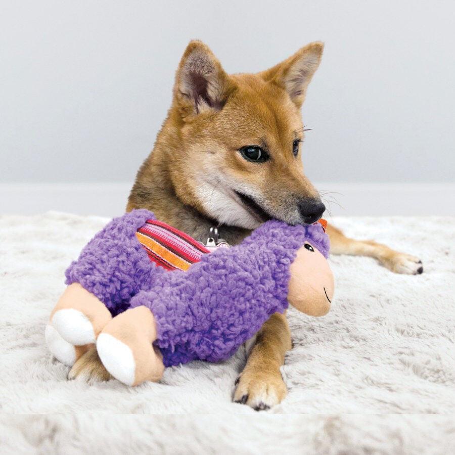 Kong Sherps Llama de peluche para perros, , large indicador imagen numero 2