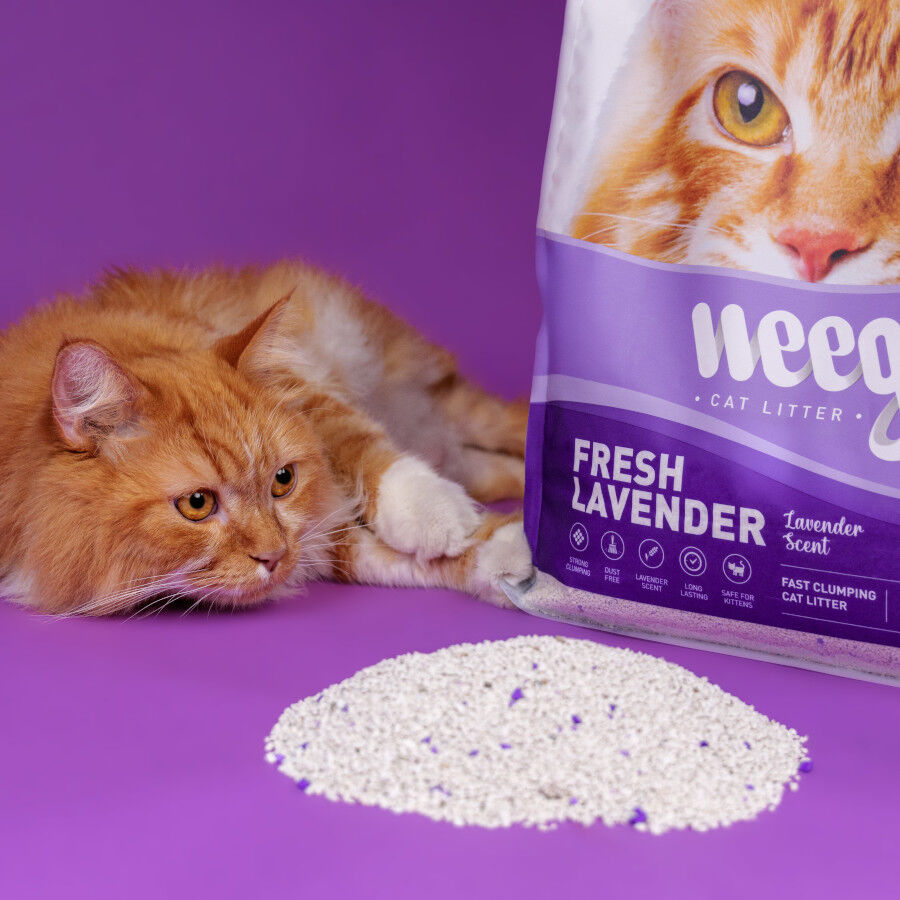 Weego Fresh Lavender Arena Aglomerante para gatos, , large Imagen numero 6