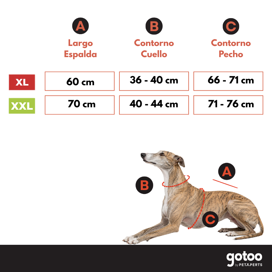 Gotoo Abrigo Gabardina para galgos, , large indicador imagen numero 5