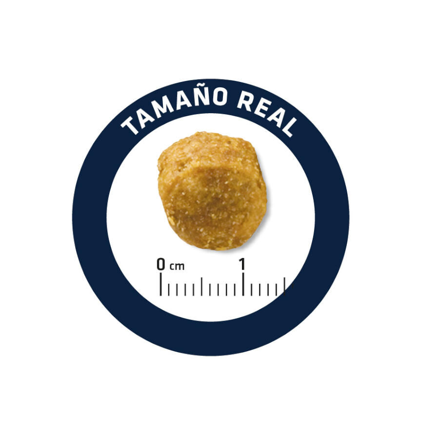 12 kg Advance Dog Leismaniasis Urinary Low Purine pienso para perros, , large indicador imagen numero 5