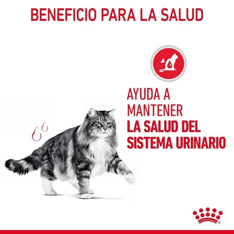 10 kg Royal Canin Urinary pienso para gatos, , large indicador imagen numero 6