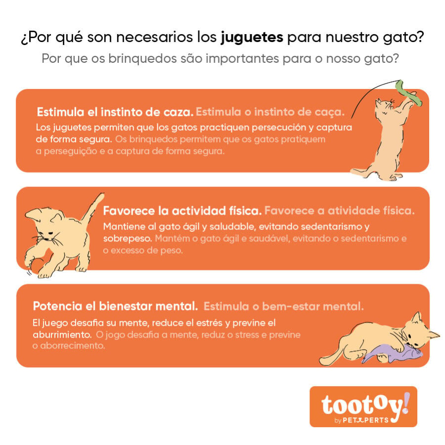 Tootoy! Panal de abeja interactivo con plumas para gatos, , large Imagen numero 6