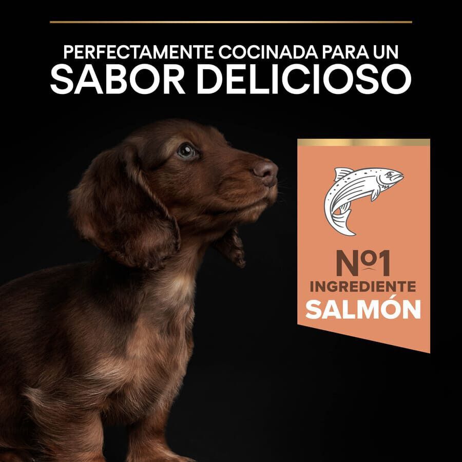 3 kg Pro Plan Puppy Small y Mini Salm&oacute;n pienso para Perros Piel, , large indicador imagen numero 7