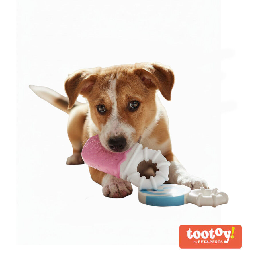 Tootoy! Pack de Mordedores Frios para cachorros, , large Imagen numero 10