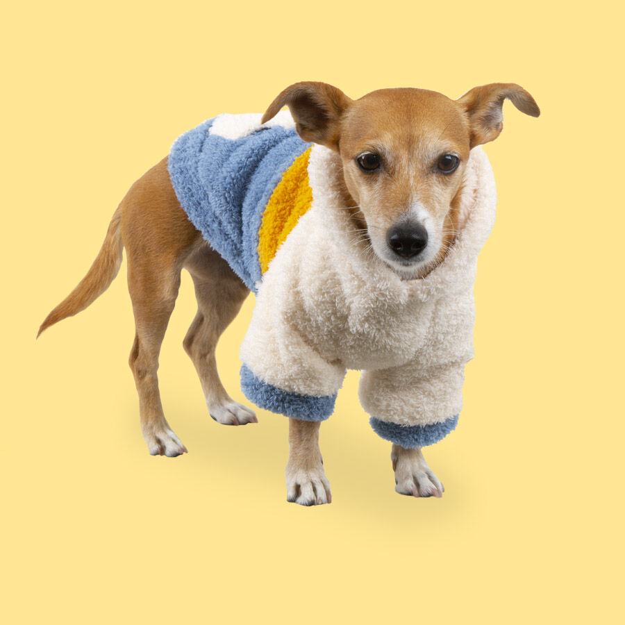 Outech Colorblock Pijama para perros, , large Imagen numero 3