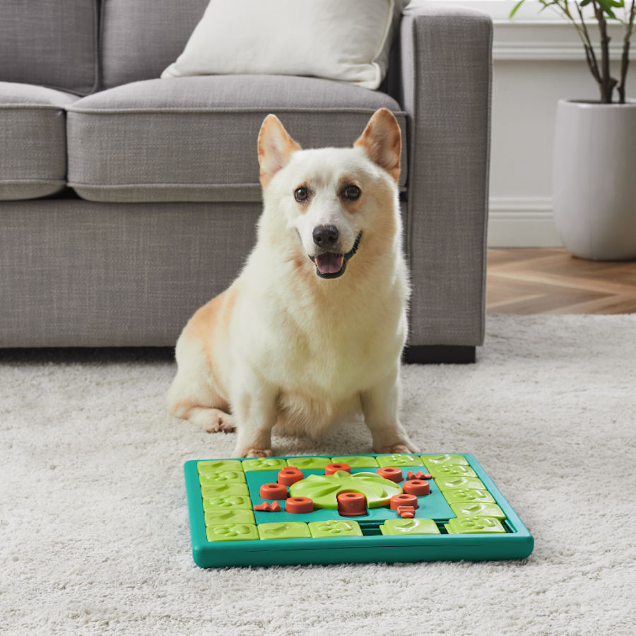 Outward Hound Multi Puzzle de Inteligencia para perros, , large Imagen numero 2
