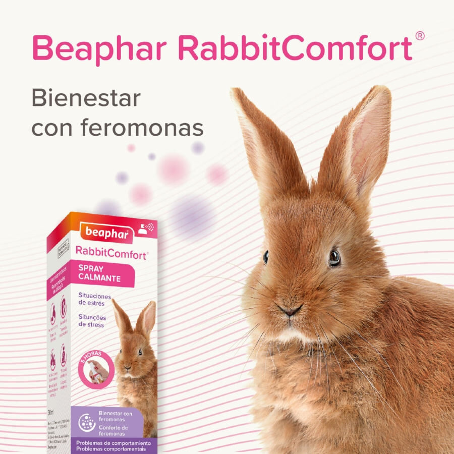 Beaphar RabbitComfort Spray Tranquilizante para conejos, , large indicador imagen numero 6