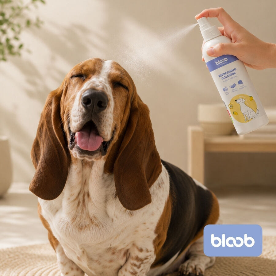 Bloob Colonia Refrescante Yuzu para perros, , large Imagen numero 2